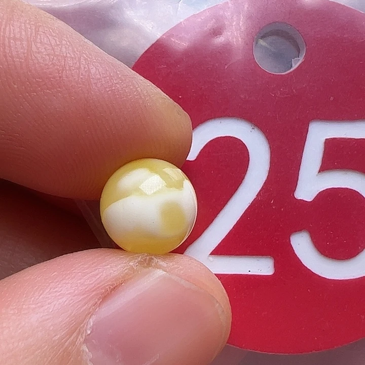 蜜蜡未镶嵌珠宝奇石8m m