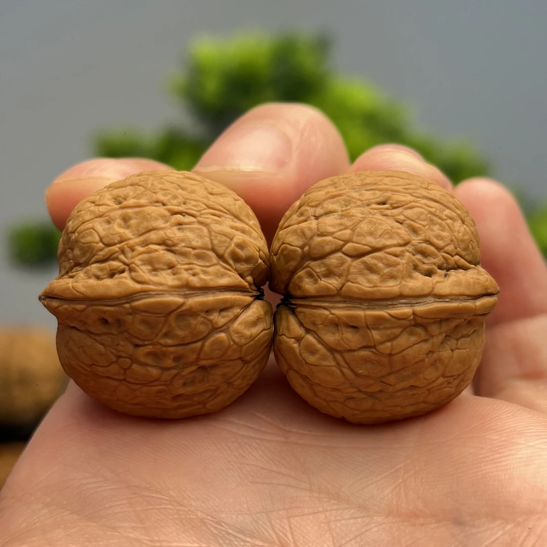 30mm小钢炮-云南铁核桃一物一图产地直发