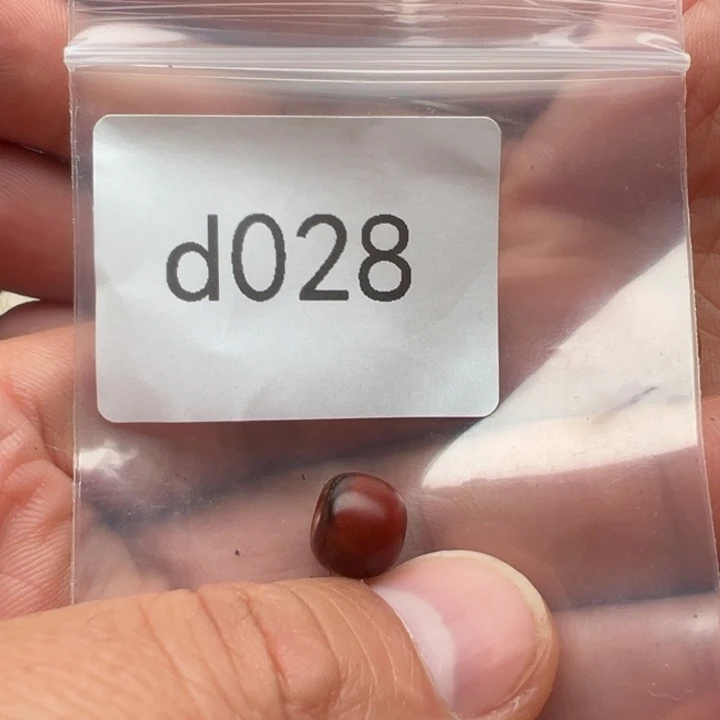 和田玉未镶嵌珠宝半成品