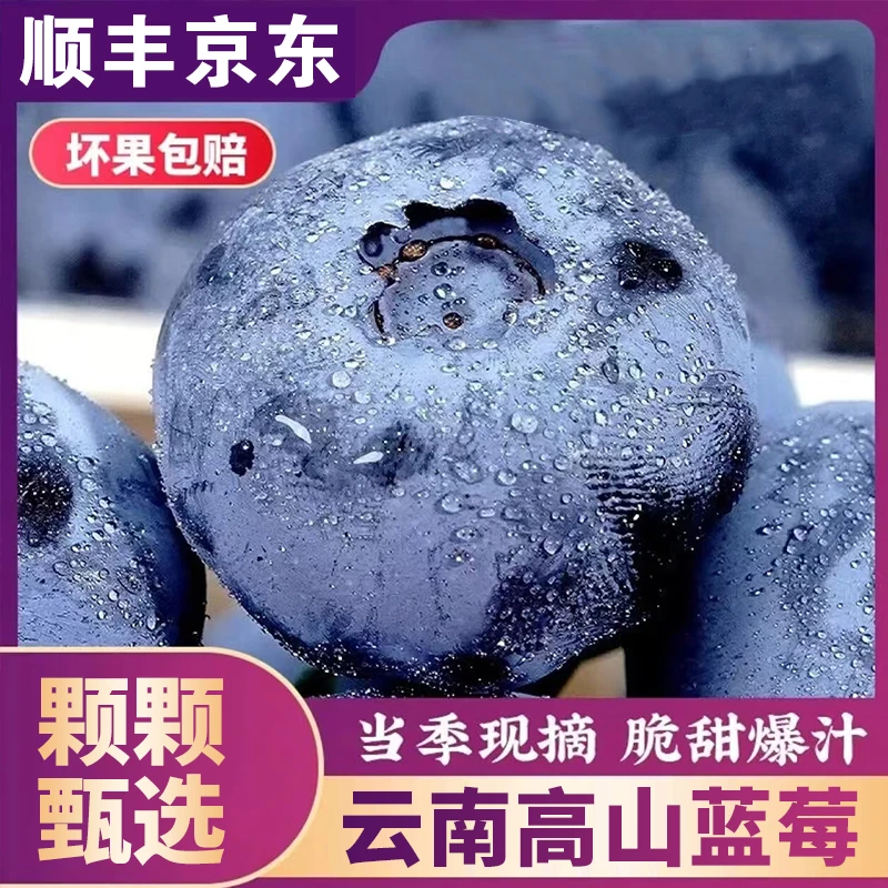 S2【顺丰京东】云南脆甜蓝莓新鲜现摘现发应季水果脆甜(100g/盒)