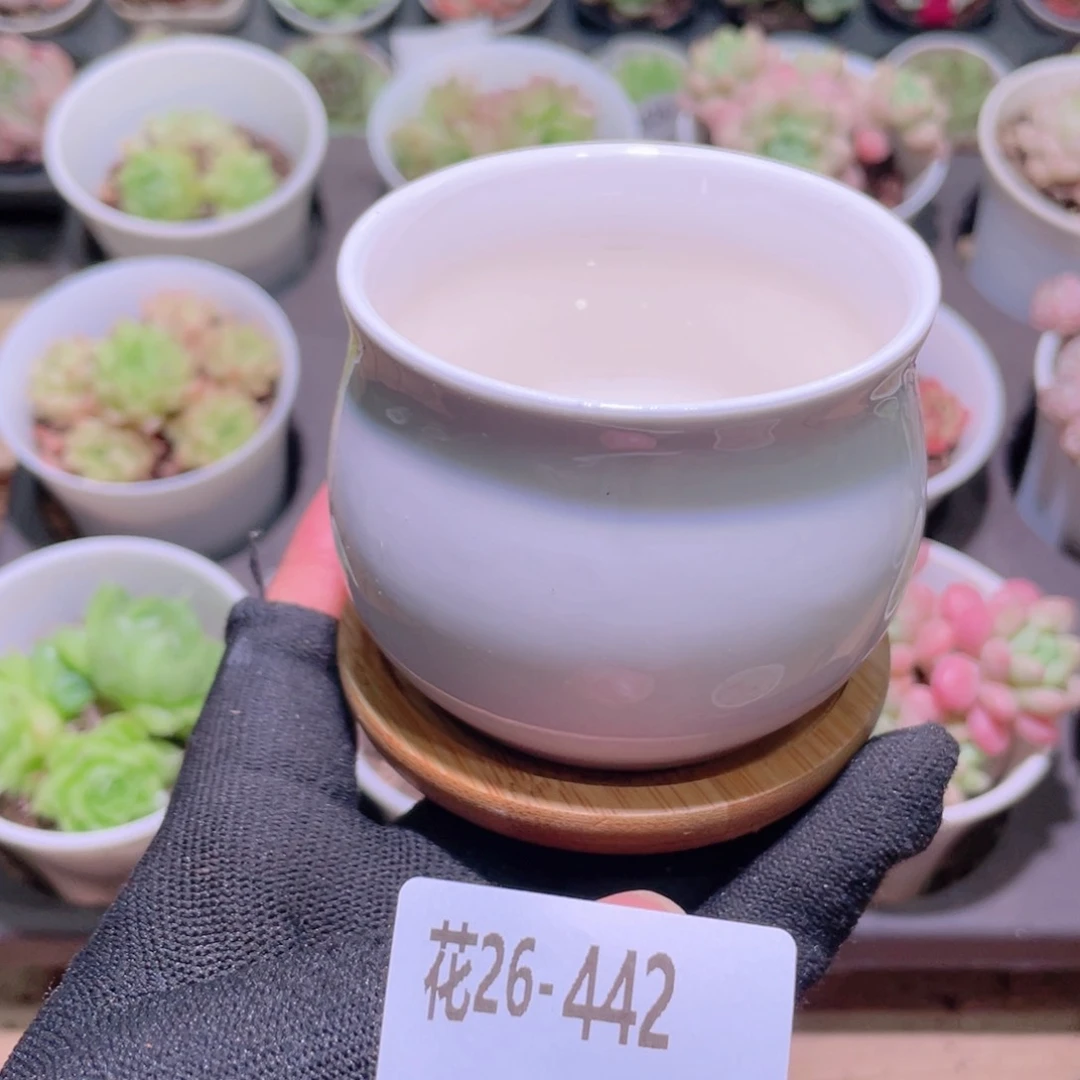 花利美26-442花盆一个多库存