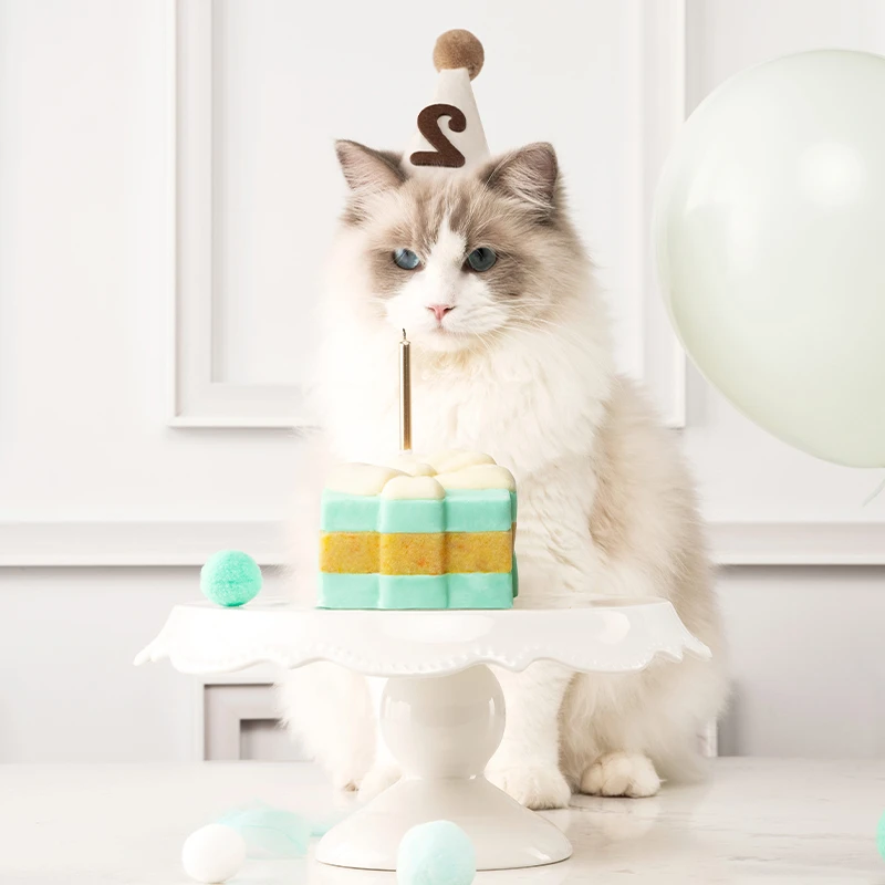 AOWOFU宠爱你宠物生日蛋糕猫咪狗狗鲜零食羊奶酪新鲜无添加