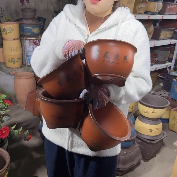 16紫气东来花盆花盆花盆×4