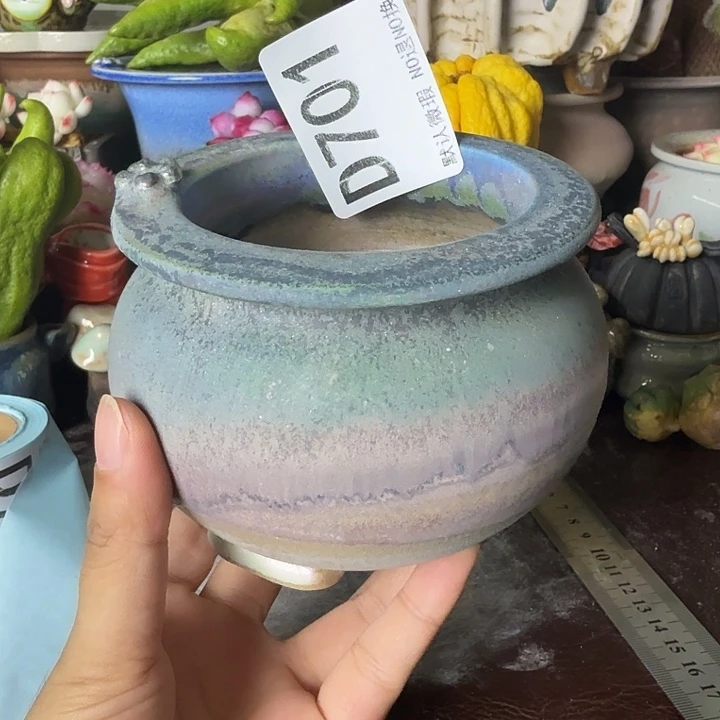 重庆小燕子欢迎大家701