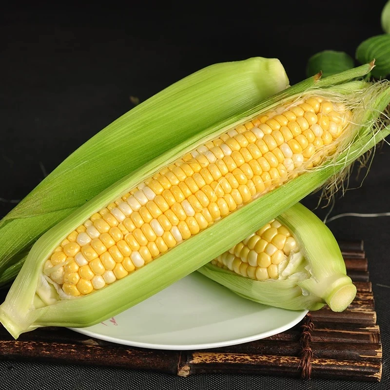 0【顺丰包邮】新疆吐鲁番应季头茬水果玉米6根新疆维吾尔自治区