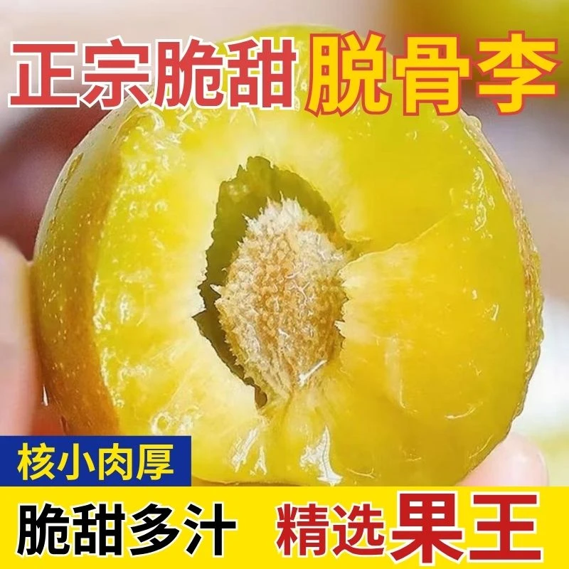 四川正宗脱骨李脆甜多汁水果核小肉厚因新鲜应季02