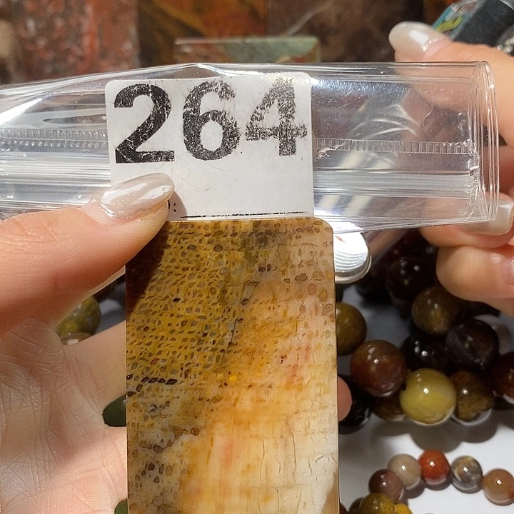 硅化玉未镶嵌天然北票树化玉吊坠
