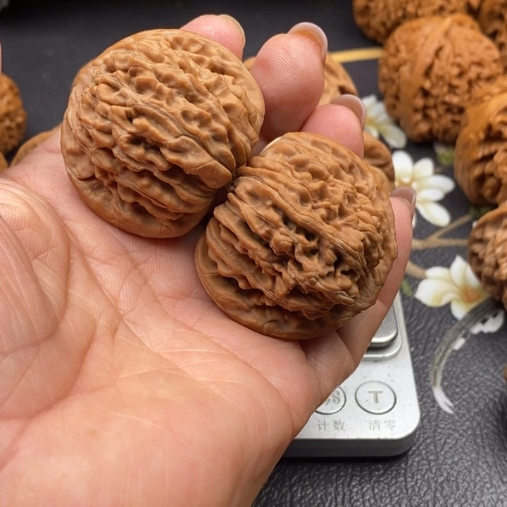 微修42新果大楼子