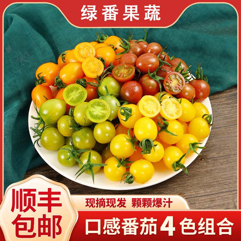 新鲜四色小番茄圣女果酸甜多汁产地直发4斤