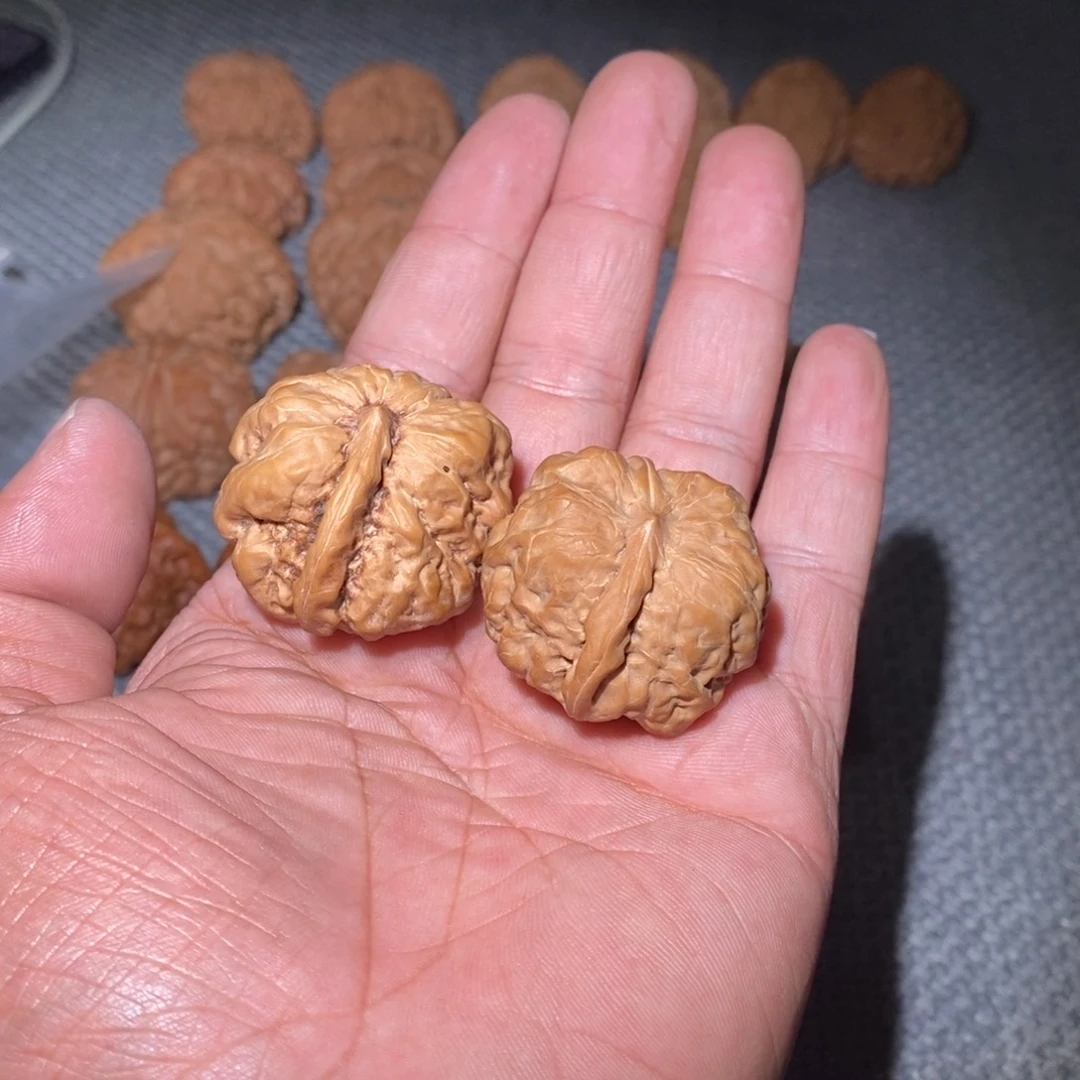 蛤蟆头 一帆风顺。