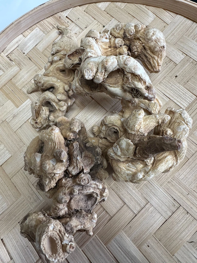 野山七—（假天王参）仅作对比