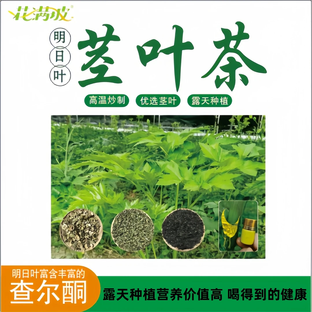 露天种植咸草王长寿草老茎查尔酮干货干蔬菜可泡茶干净无杂长寿菜