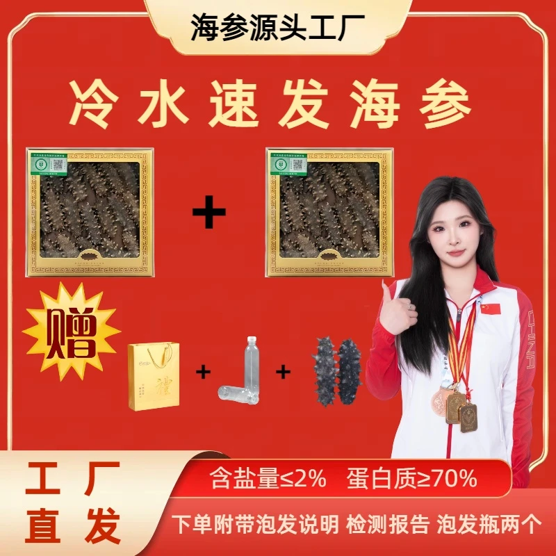 【618提前购】【冷水速发】头茬春参辽刺参滋补养生纯淡干海参 40头