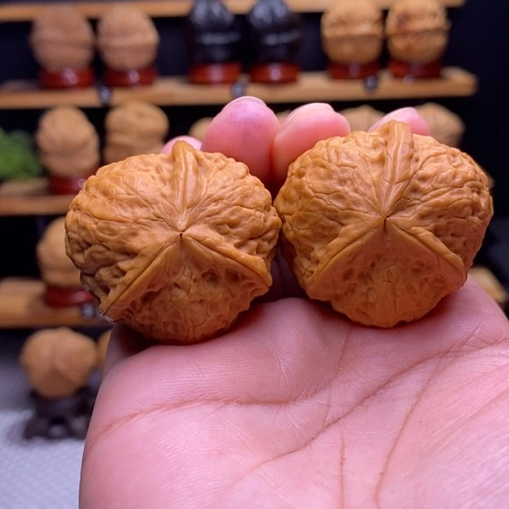 木质类云铁寿桃三棱49号