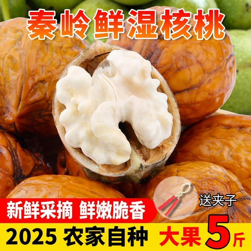 陕西秦岭山脚下老树去青皮新鲜湿核桃