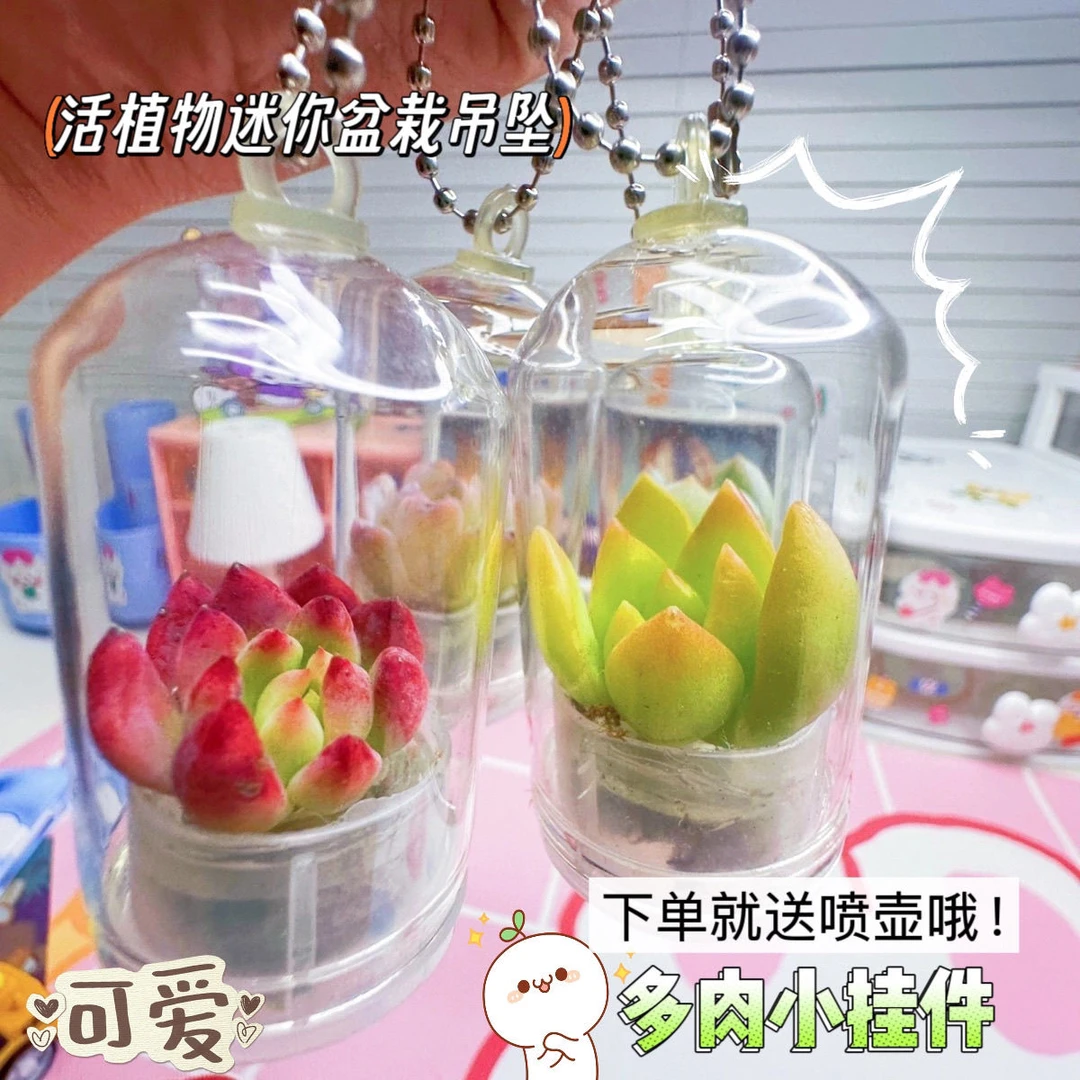 多肉小盆栽挂件创意迷你小植物钥匙扣微缩景观小礼物同款迷你