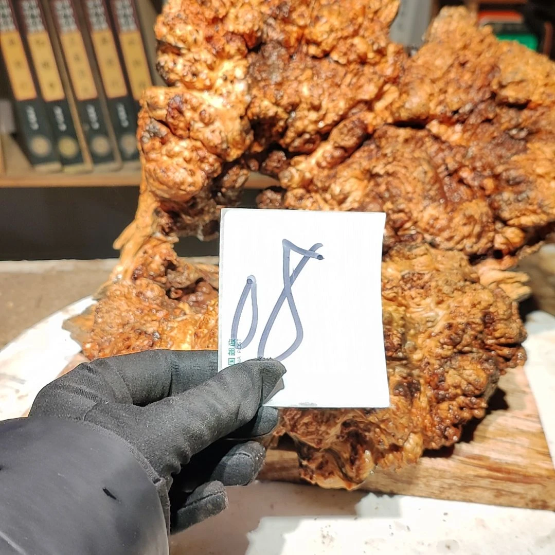 松木?08号北沉香琥珀木天然造型
