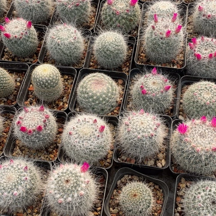 俏***吖8870-2898-2547000000