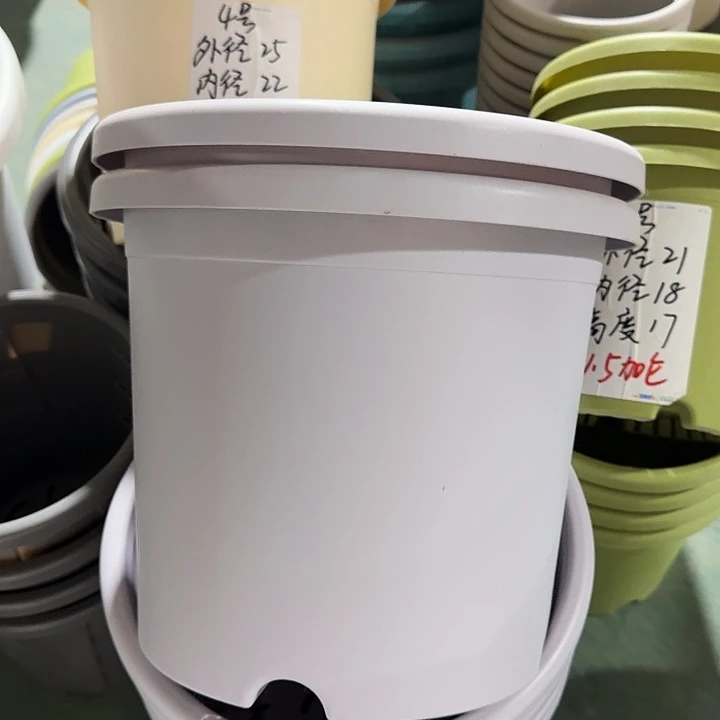 微瑕5#淡紫6个无托