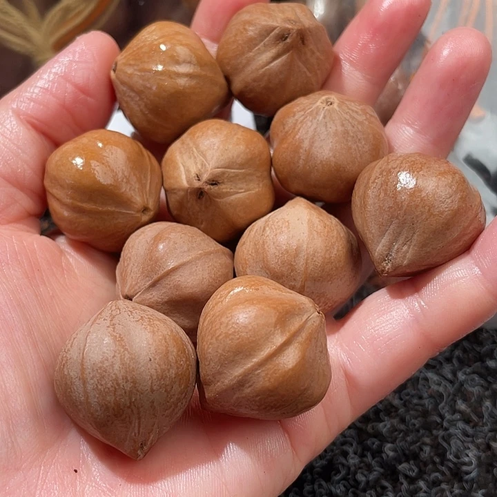 医***忧橄榄核吊坠2.5✖️2.7