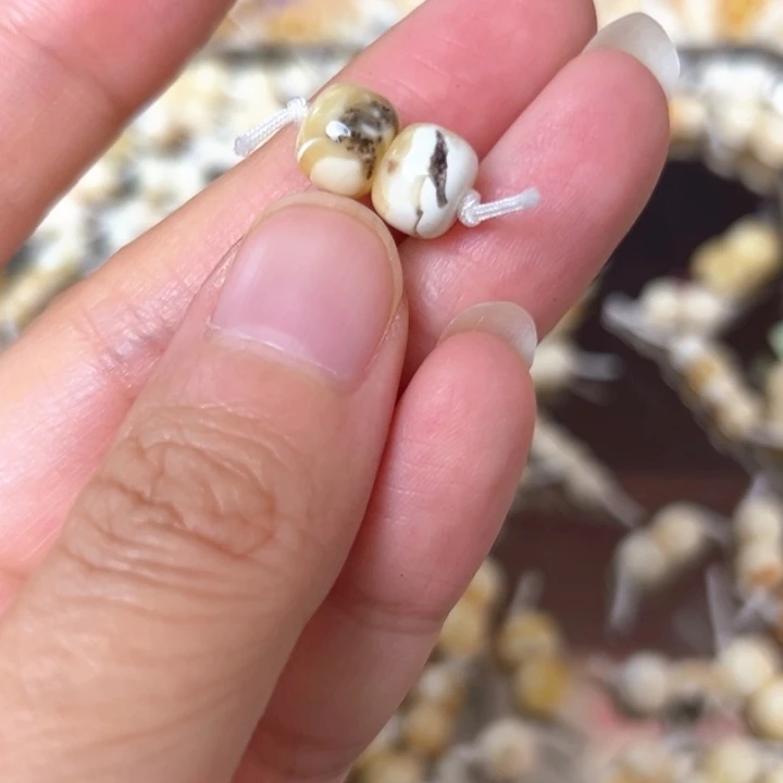 裸石蜜蜡未镶嵌8.1mm一对