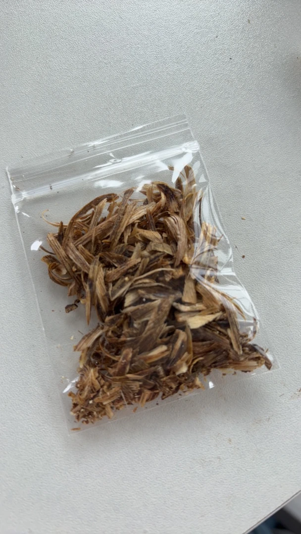 奇楠沉香福利品多样性发一