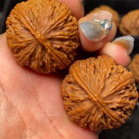 文玩核桃吊坠秦岭山脉核桃