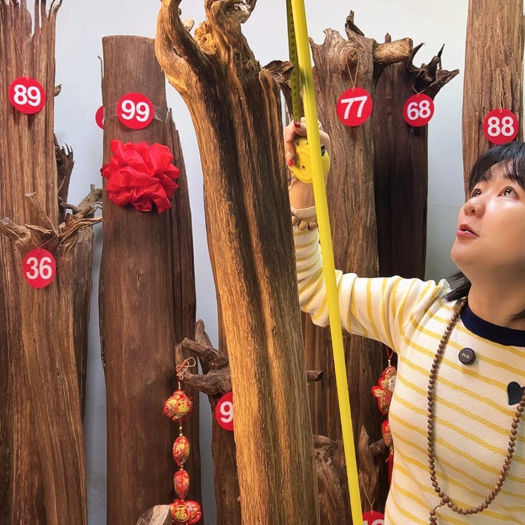 沉香摆件天然沉香原材料高品质