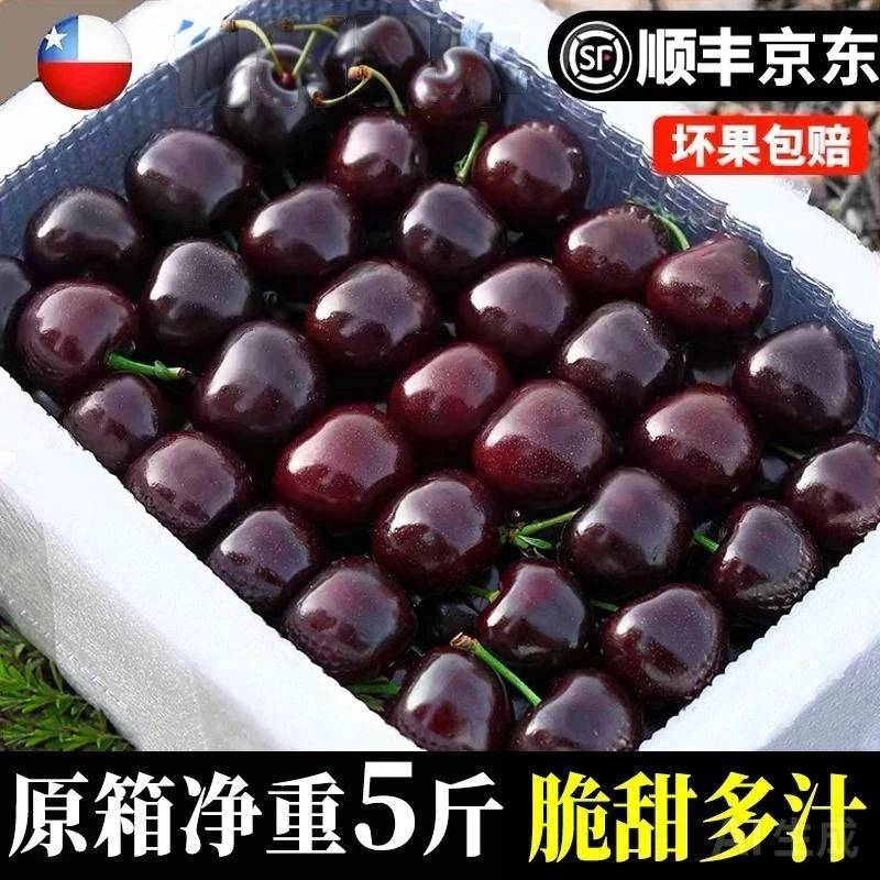 XX拉宾斯智利进口车厘子2J-3J 海运顺丰京东包邮5斤 内附果径卡