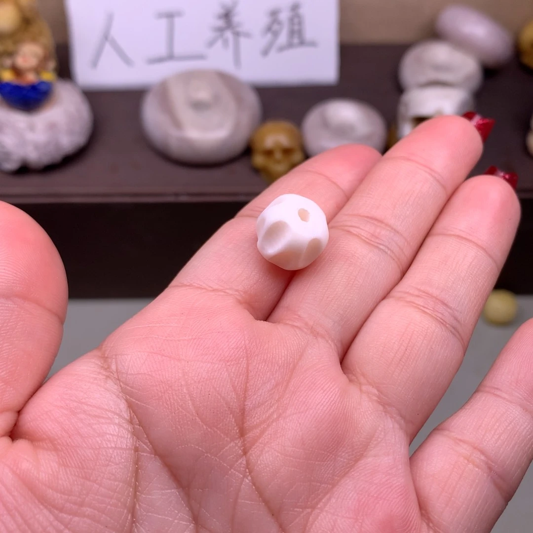 驼骨其他好看鹿角