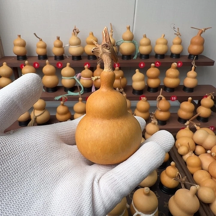 Y***ᰔ一物一拍葫芦康康