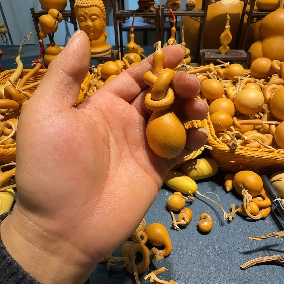 d***u葫芦科动物大白腿鸟类