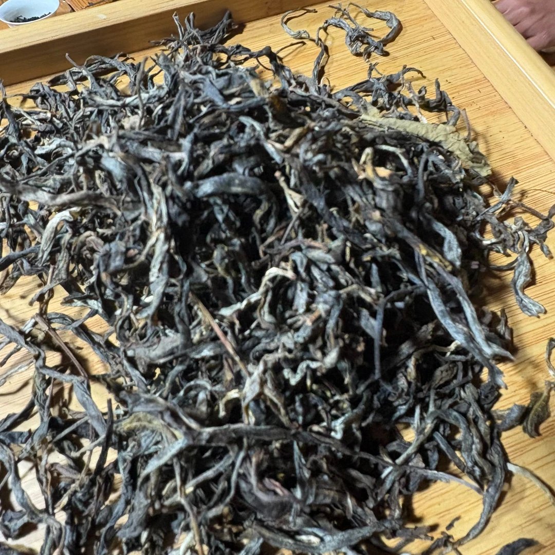 2021年三家村古树 春 普洱生普散茶500克-【113号】