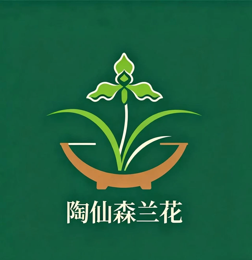 一物一拍春兰/新手友好/清香或浓香型带花苞室内好养