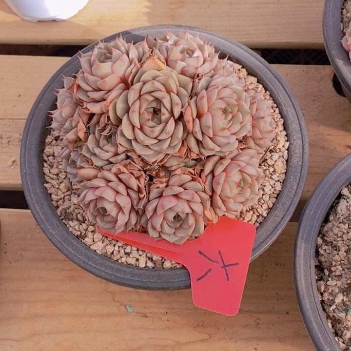 这种事情不可能不