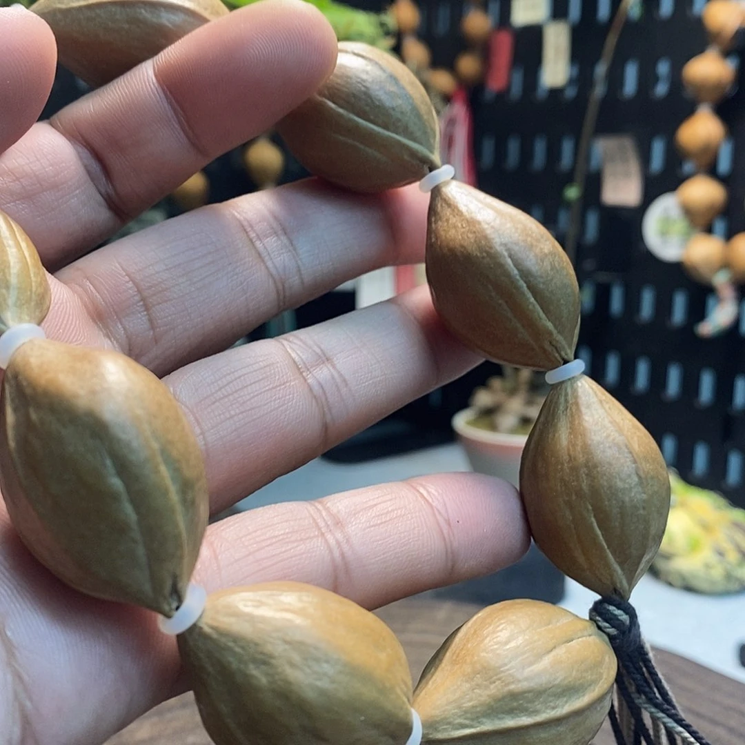 橄榄核手串/手链5669884459988