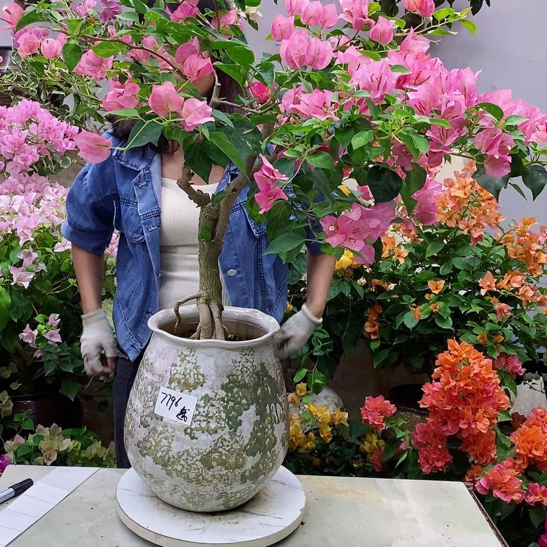 完全开放我要好好学习