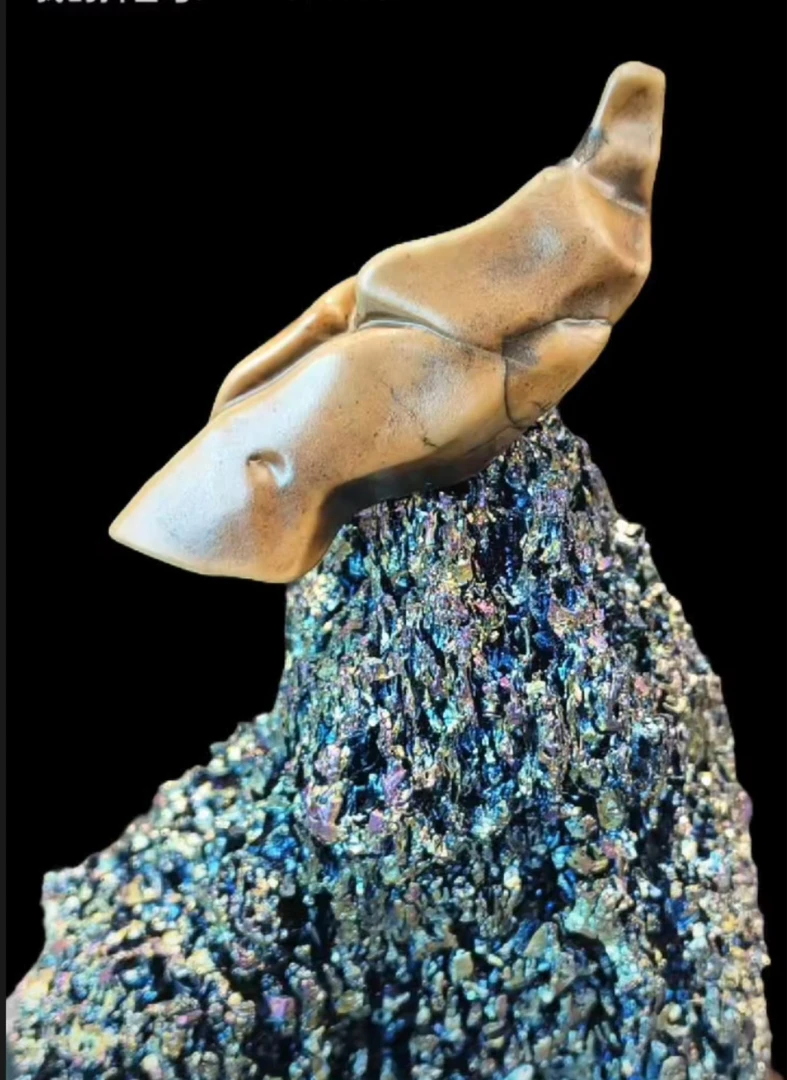 阿拉善戈壁石《凤凰传奇》天然象形奇石