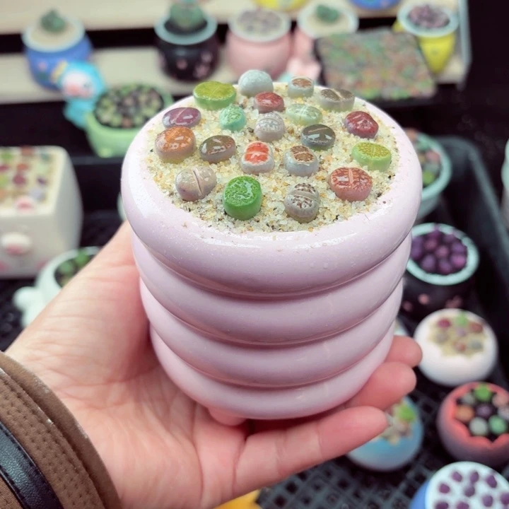 532零下地区记得拍保温箱