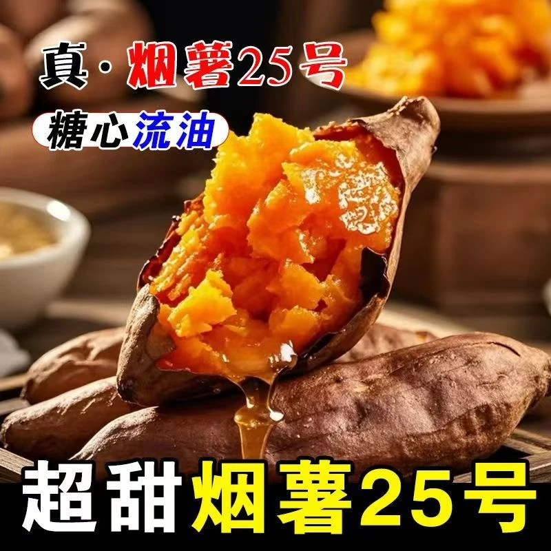沙地正宗烟薯25号新鲜红薯糖心流油超甜沙地采摘现摘现发甜番薯