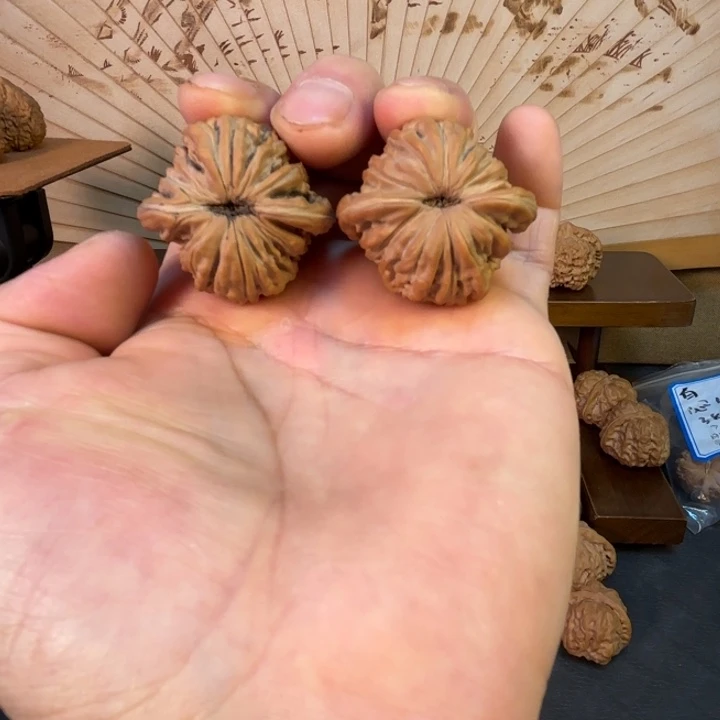 X***吖山西汉高楼红皮无修