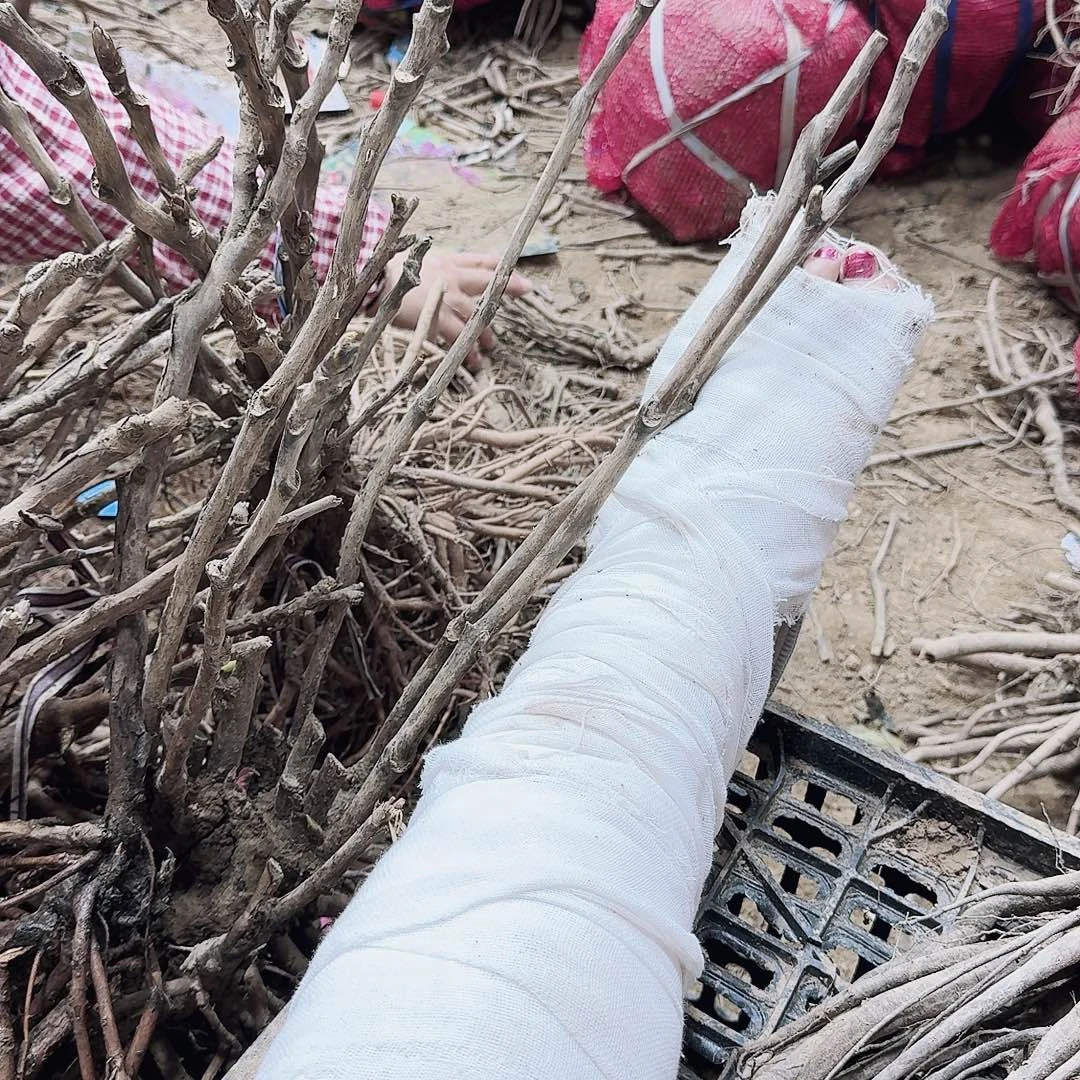 完全开放111111111111111111