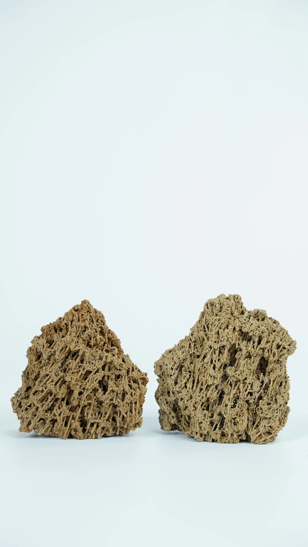 天然吸水石麦管石芦管石假山盆景四面可观下单送草籽