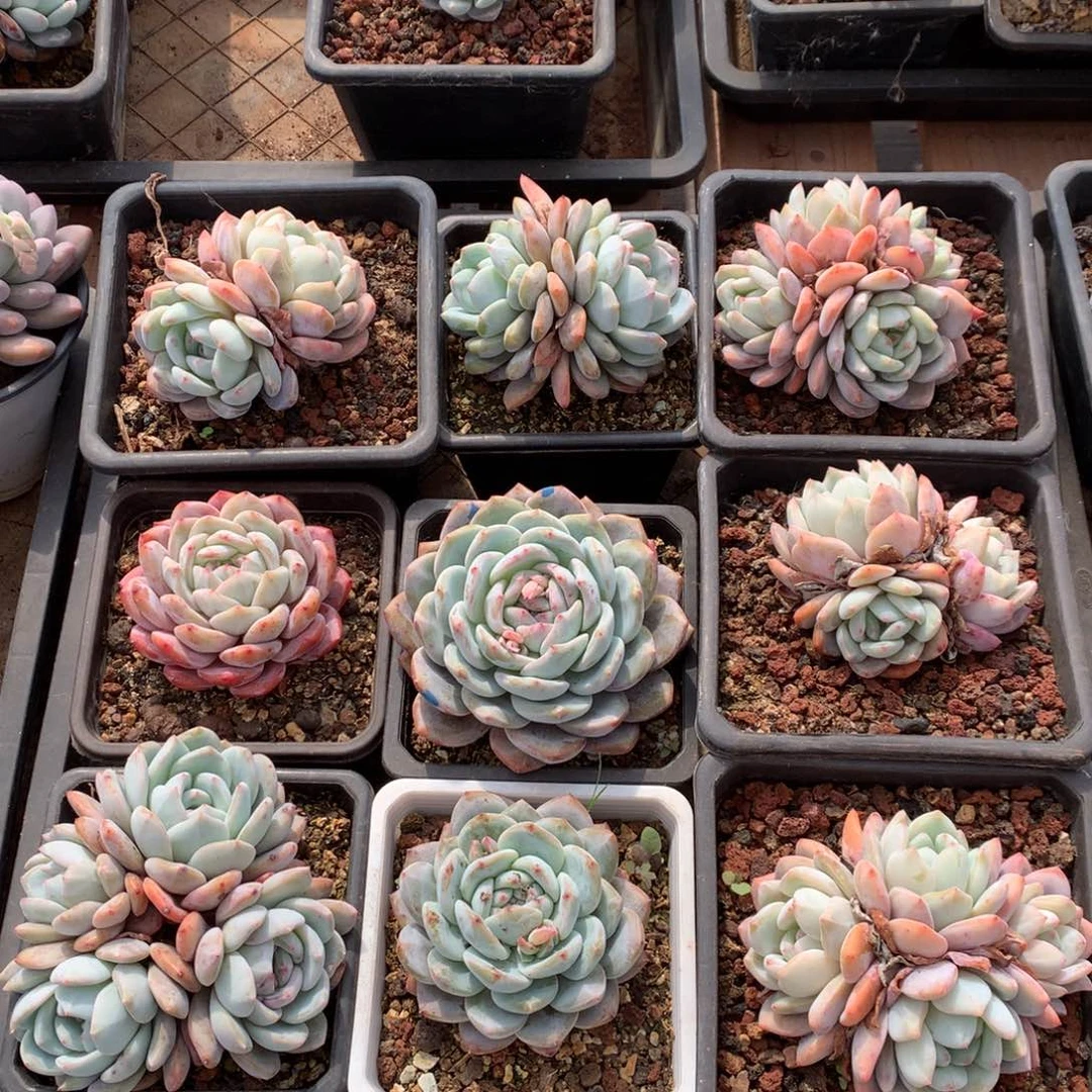 一框000000000 0 00