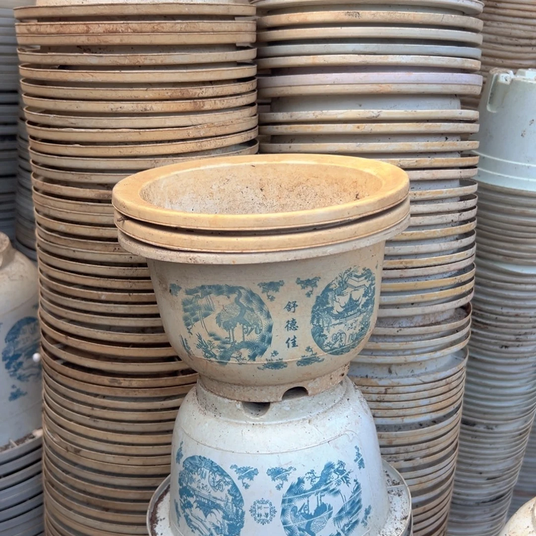 富贵花开盆17.5口径11高 20个