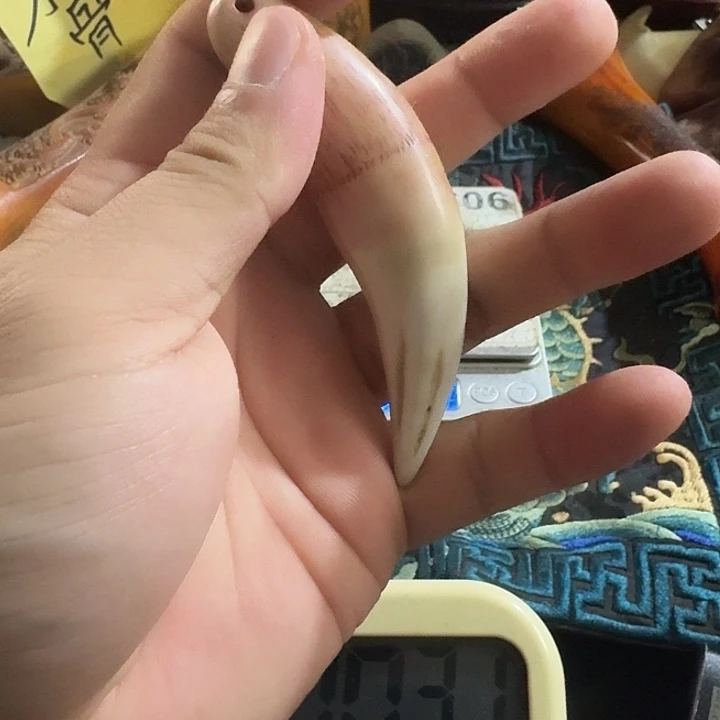 大哥专拍链接一号