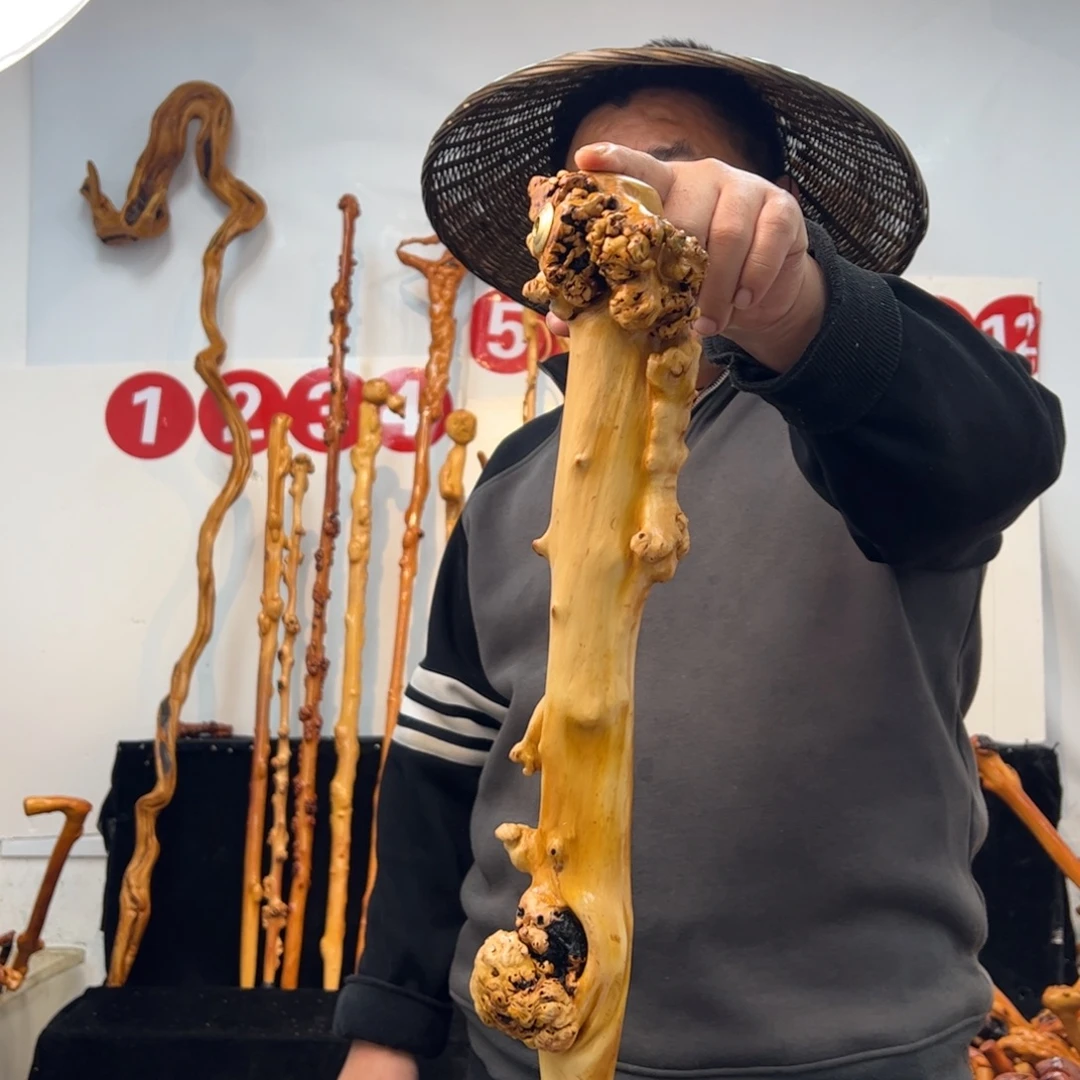 其他黑果木黑果木993