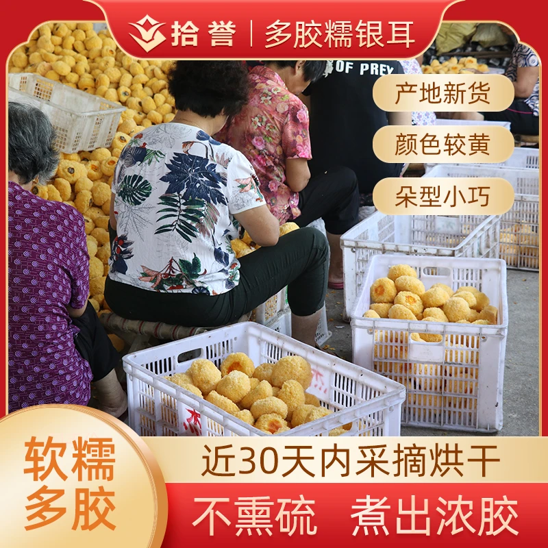 拾誉多胶银耳干货古田白木耳丑耳250g无熏硫糯雪耳新鲜莲子羹材料