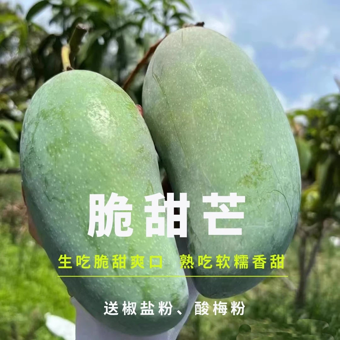 越南大青芒芒果爆甜2025新鲜水果应季热带青皮芒果【T】