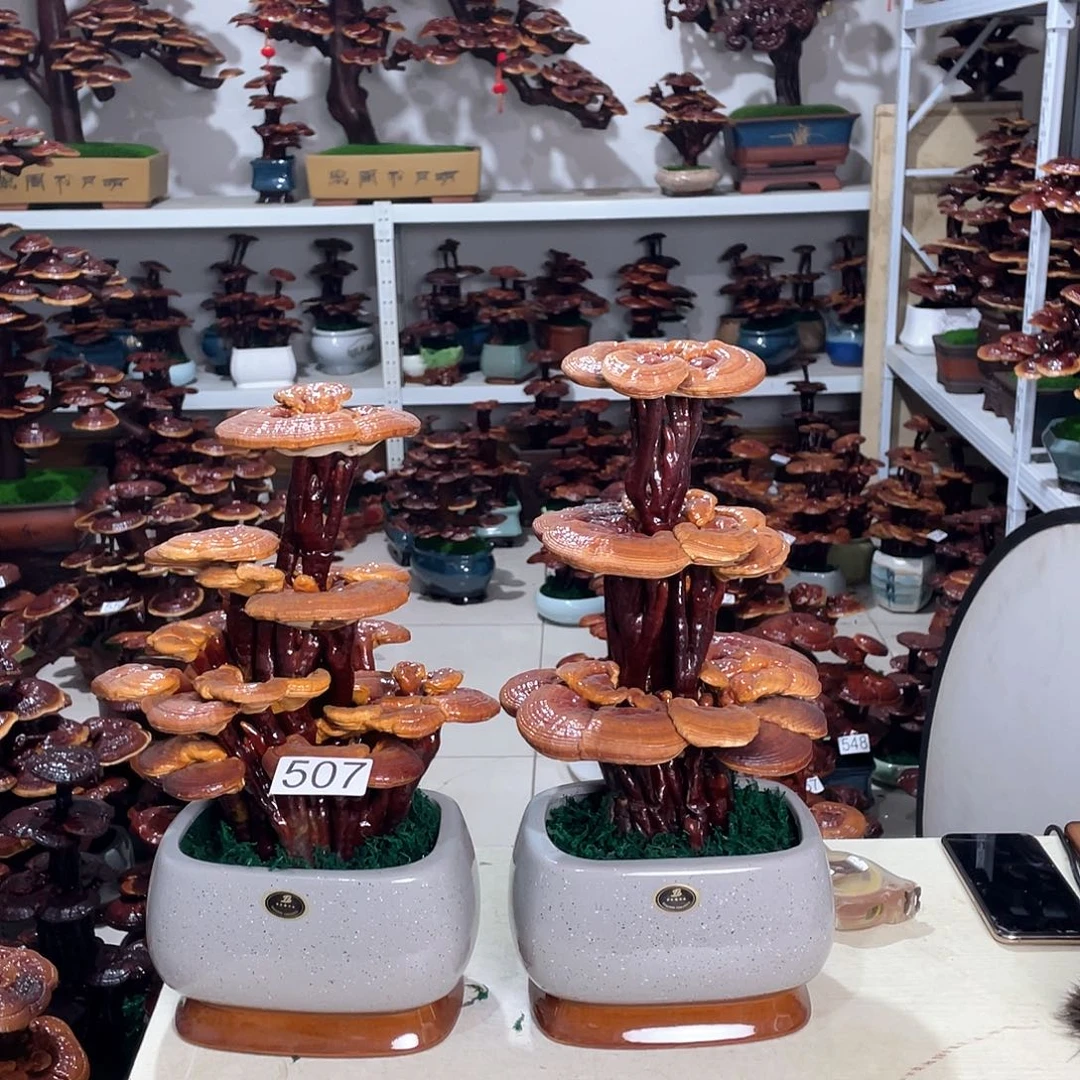 鑫***园888888888888888888